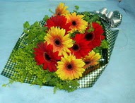 t�l i�erisinde gerbera �i�ekleri 11 adet  Ankara Sincan hediye sevgilime hediye �i�ek 