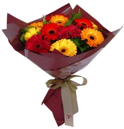  cicek siparisi Ankara Sincan cicek , cicekci  13 ADET KARISIK GERBERA BUKETI