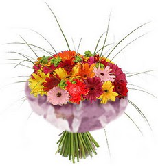 karisik gerbera demeti 15 adet gerberalardan  Ankara Sincan �i�ek sipari�i vermek 