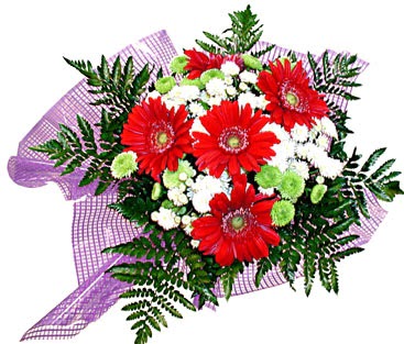 gerbera ve krizantem demeti  Ankara Sincan �i�ek sipari�i vermek 
