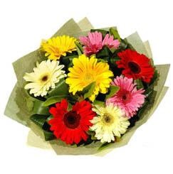 9 adet karisik gerbera demeti  Ankara Sincan �i�ek yolla , �i�ek g�nder , �i�ek�i  