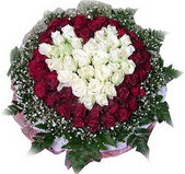  Ankara Sincan �i�ek yolla , �i�ek g�nder , �i�ek�i   27 adet kirmizi ve beyaz g�l sepet i�inde