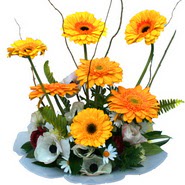 camda gerbera ve mis kokulu kir �i�ekleri  Ankara Sincan �i�ek�i ma�azas� 