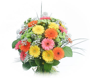 13 adet gerbera �i�egi buketi  �i�ek sipari�i Ankara Sincan anneler g�n� �i�ek yolla 