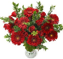 5 adet kirmizi g�l 5 adet gerbera aranjmani  Ankara Sincan internetten �i�ek sipari�i 