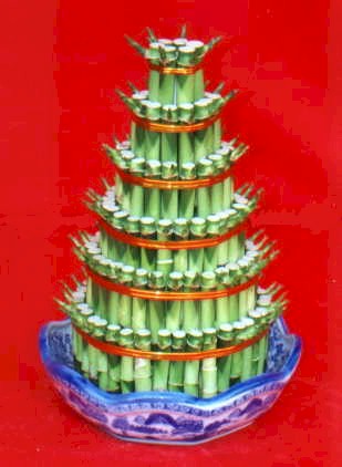 Lucky Bamboo sans melegi �i�egi  Ankara Sincan cicekciler , cicek siparisi 