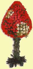  Ankara Sincan hediye �i�ek yolla  d�g�n a�ilis �i�ekleri  Ankara Sincan yurti�i ve yurtd��� �i�ek sipari�i 