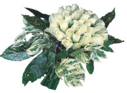  Ankara Sincan uluslararas� �i�ek g�nderme  9 Beyaz g�l �zel kisiler i�in