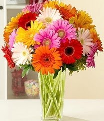  Ankara Sincan online �i�ek�i , �i�ek sipari�i  15 adet gerbera �i�ek vazosu