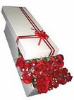  Ankara Sincan �i�ek�i ma�azas�  11 adet 1.kalite magnum g�ller
