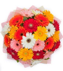 15 adet renkli gerbera buketi  Sincan �i�ek sipari�i Ankara Sincan �i�ek yolla 