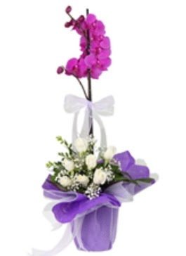1 dal mor orkide ve 11 adet beyaz gl  Ankara Sincan iek maazas , ieki adresleri 