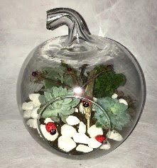 K���k terrarium elma 3 kakt�s  Ankara Sincan �i�ek yolla , �i�ek g�nder , �i�ek�i  