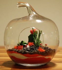 Elma Terrarium 3 kakt�s orta boy  Ankara Sincan �i�ek ma�azas� , �i�ek�i adresleri 