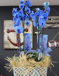 4 dall zel mavi orkide  Ankara Sincan 14 ubat sevgililer gn iek 