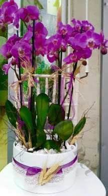 Seramik vazoda 4 dall mor lila orkide  iek siparii Ankara Sincan anneler gn iek yolla 