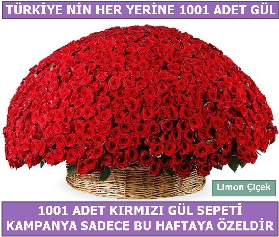 1001 Adet k�rm�z� g�l Bu haftaya �zel  Online Ankara Sincan �i�ek sat��� 