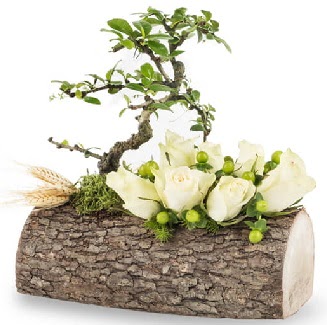 Do�al k�t�kte bonsai a�ac� ve 7 beyaz g�l  Ankara Sincan �i�ek , �i�ek�i , �i�ek�ilik 