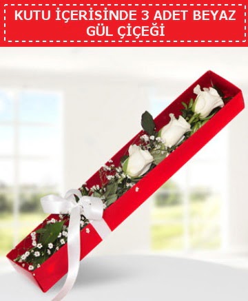 Kutu i�erisinde 3 adet beyaz g�l �i�e�i  Ankara Sincan hediye sevgilime hediye �i�ek 