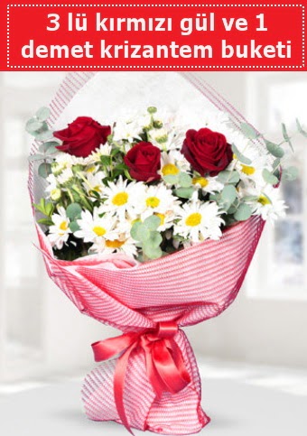 3 adet k�rm�z� g�l ve krizantem buketi  Ankara Sincan �i�ek , �i�ek�i , �i�ek�ilik 
