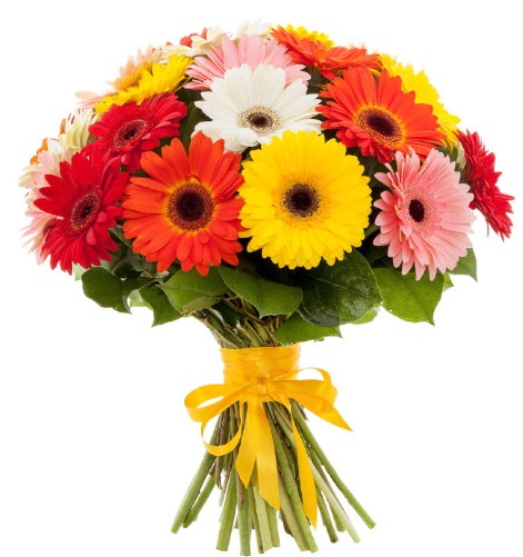 Gerbera demeti buketi  Ankara Sincan �i�ek sipari�i sitesi 